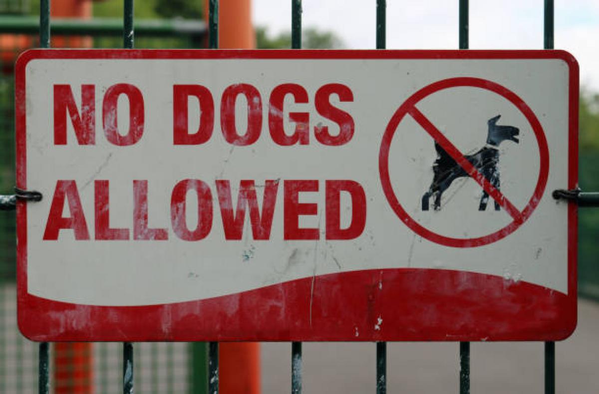 PLEASE LEASH YOUR DOGS WHEN WALKING IN PUBLIC and NO DOGS in TOWN OF